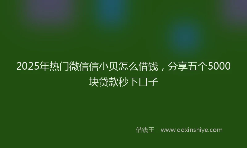 2025年热门微信信小贝怎么借钱，分享五个5000块贷款秒下口子