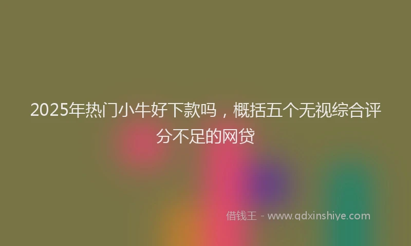 2025年热门小牛好下款吗，概括五个无视综合评分不足的网贷