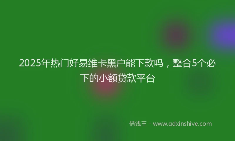 2025年热门好易维卡黑户能下款吗，整合5个必下的小额贷款平台