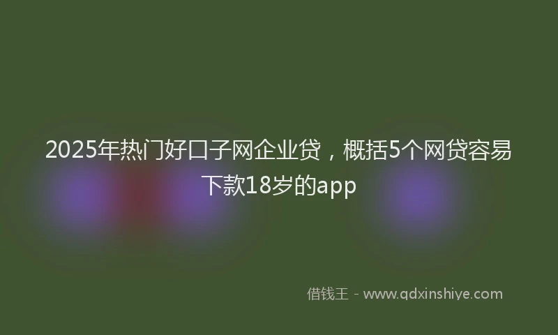2025年热门好口子网企业贷，概括5个网贷容易下款18岁的app