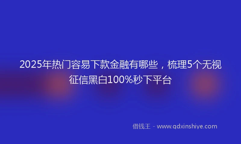 2025年热门容易下款金融有哪些，梳理5个无视征信黑白100%秒下平台