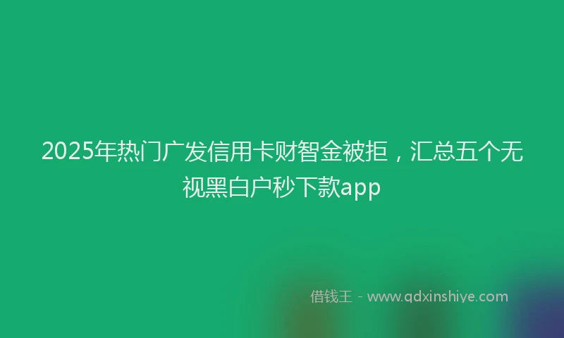 2025年热门广发信用卡财智金被拒，汇总五个无视黑白户秒下款app
