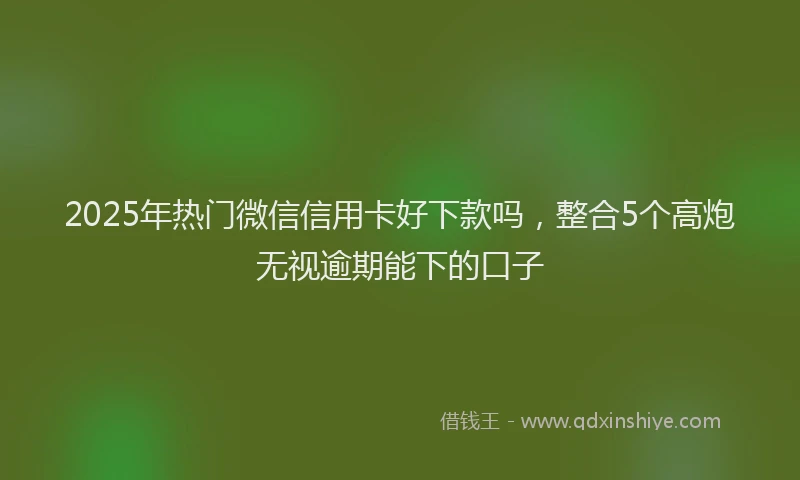 2025年热门微信信用卡好下款吗，整合5个高炮无视逾期能下的口子