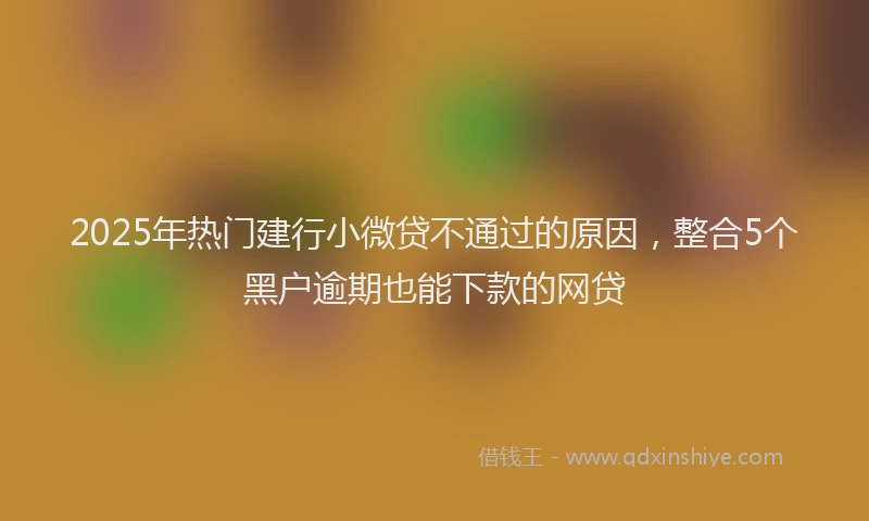2025年热门建行小微贷不通过的原因，整合5个黑户逾期也能下款的网贷