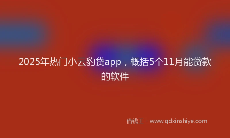2025年热门小云豹贷app，概括5个11月能贷款的软件