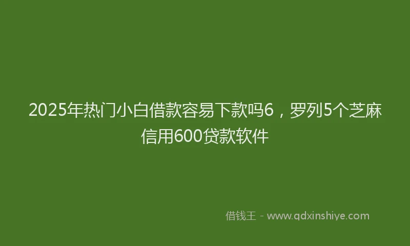 2025年热门小白借款容易下款吗6，罗列5个芝麻信用600贷款软件