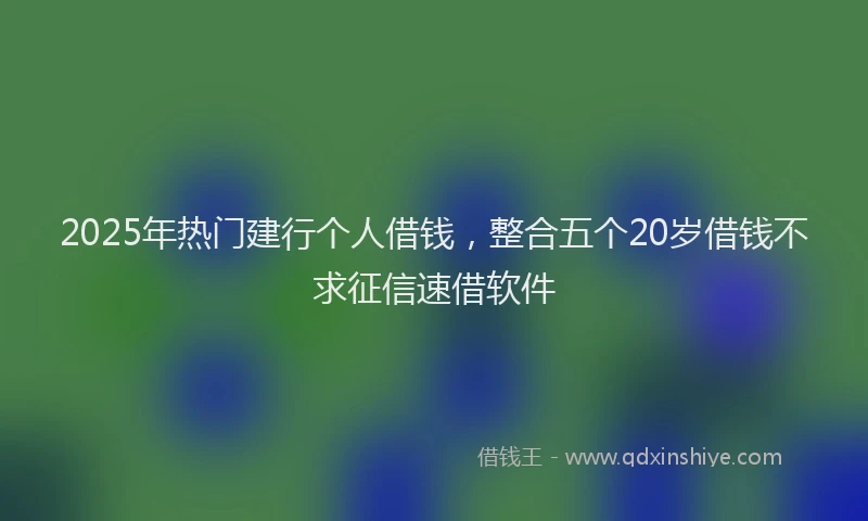 2025年热门建行个人借钱，整合五个20岁借钱不求征信速借软件