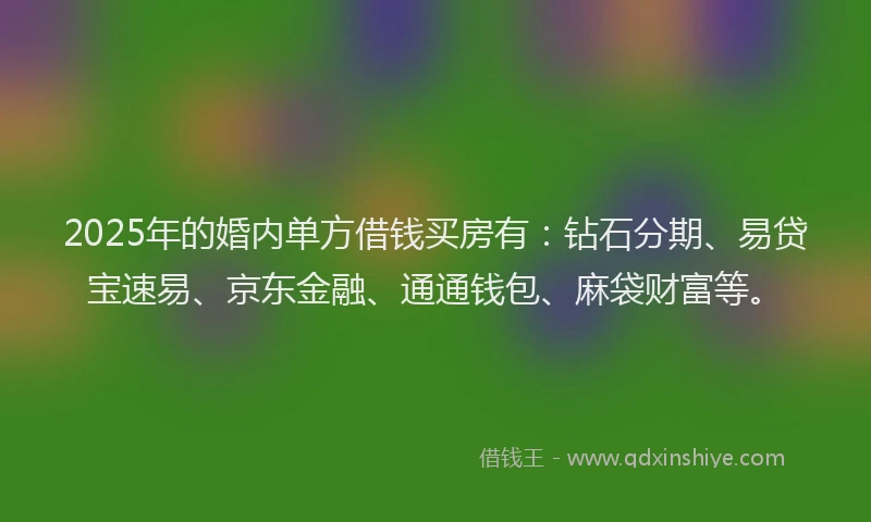 2025年的婚内单方借钱买房有：钻石分期、易贷宝速易、京东金融、通通钱包、麻袋财富等。