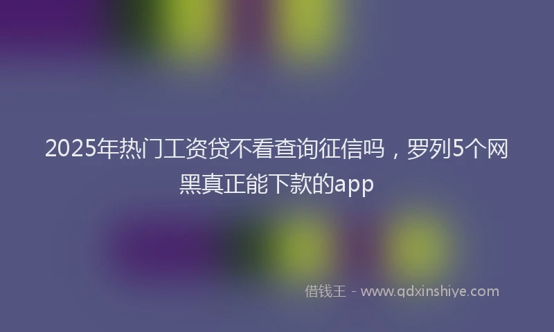 2025年热门工资贷不看查询征信吗，罗列5个网黑真正能下款的app