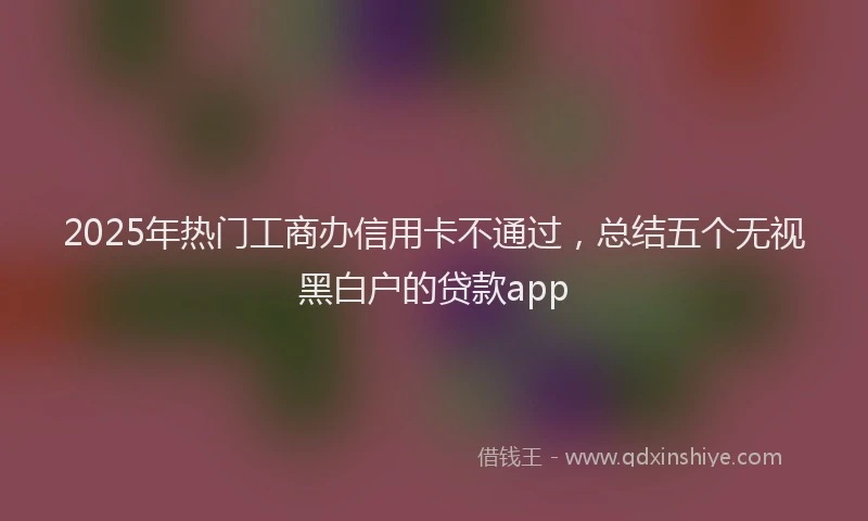 2025年热门工商办信用卡不通过，总结五个无视黑白户的贷款app