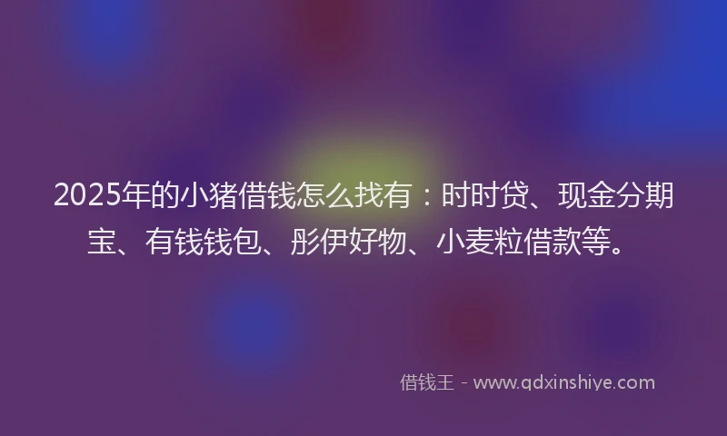 2025年的小猪借钱怎么找有：时时贷、现金分期宝、有钱钱包、彤伊好物、小麦粒借款等。