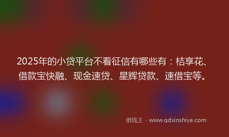 2025年的小贷平台不看征信有哪些有：桔享花、借款宝快融、现金速贷、星辉贷款、速借宝等。