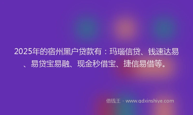 2025年的宿州黑户贷款有：玛瑙信贷、钱速达易、易贷宝易融、现金秒借宝、捷信易借等。