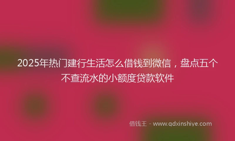 2025年热门建行生活怎么借钱到微信，盘点五个不查流水的小额度贷款软件