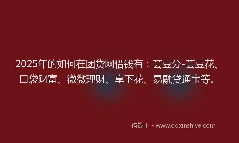 2025年的如何在团贷网借钱有：芸豆分-芸豆花、口袋财富、微微理财、享下花、易融贷通宝等。