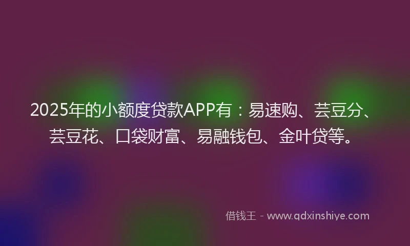2025年的小额度贷款APP有：易速购、芸豆分、芸豆花、口袋财富、易融钱包、金叶贷等。