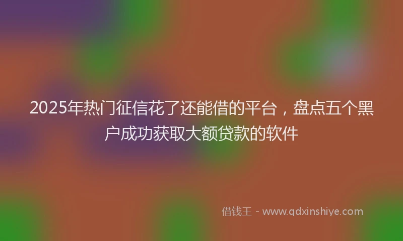2025年热门征信花了还能借的平台，盘点五个黑户成功获取大额贷款的软件