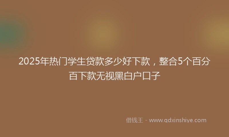 2025年热门学生贷款多少好下款，整合5个百分百下款无视黑白户口子
