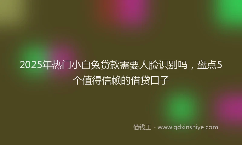 2025年热门小白兔贷款需要人脸识别吗，盘点5个值得信赖的借贷口子