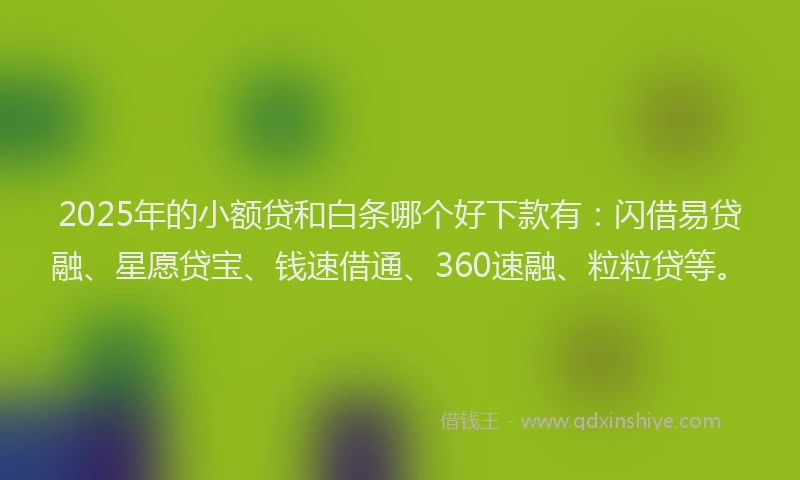 2025年的小额贷和白条哪个好下款有：闪借易贷融、星愿贷宝、钱速借通、360速融、粒粒贷等。