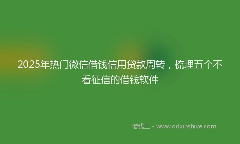 2025年热门微信借钱信用贷款周转，梳理五个不看征信的借钱软件
