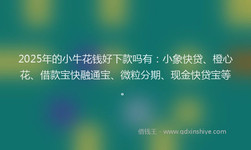 2025年的小牛花钱好下款吗有：小象快贷、橙心花、借款宝快融通宝、微粒分期、现金快贷宝等。