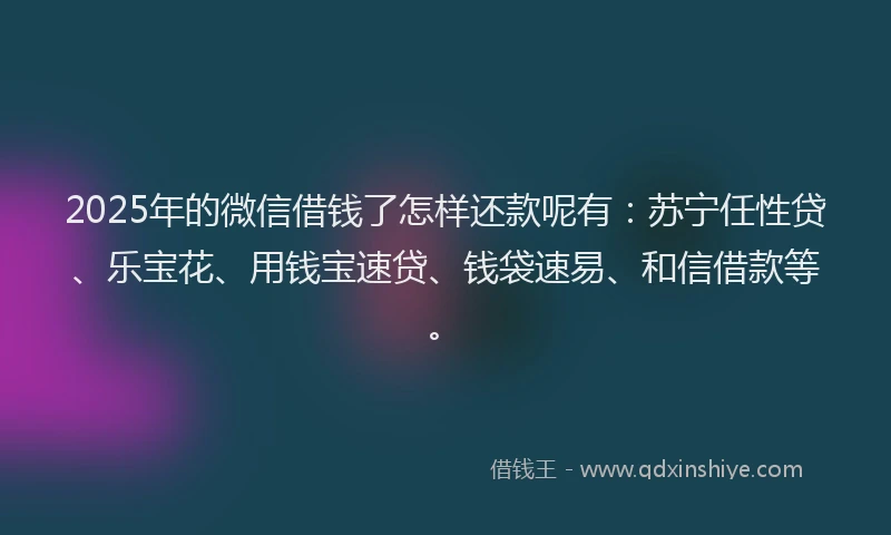 2025年的微信借钱了怎样还款呢有：苏宁任性贷、乐宝花、用钱宝速贷、钱袋速易、和信借款等。