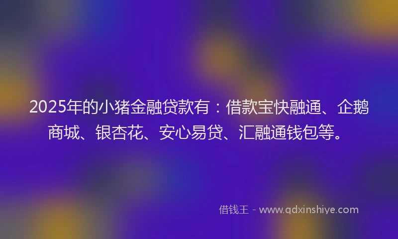 2025年的小猪金融贷款有：借款宝快融通、企鹅商城、银杏花、安心易贷、汇融通钱包等。