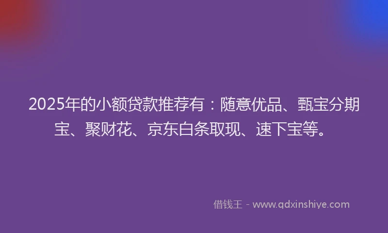 2025年的小额贷款推荐有：随意优品、甄宝分期宝、聚财花、京东白条取现、速下宝等。