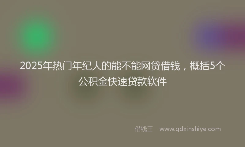 2025年热门年纪大的能不能网贷借钱，概括5个公积金快速贷款软件