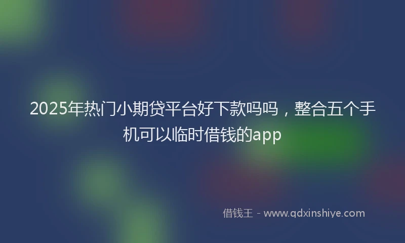 2025年热门小期贷平台好下款吗吗，整合五个手机可以临时借钱的app