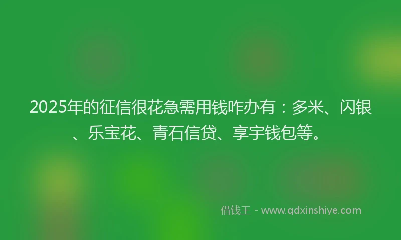 2025年的征信很花急需用钱咋办有：多米、闪银、乐宝花、青石信贷、享宇钱包等。