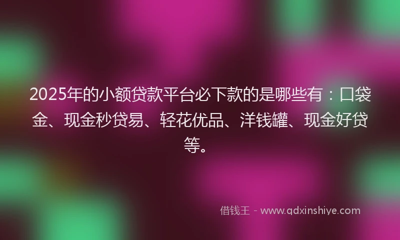 2025年的小额贷款平台必下款的是哪些有：口袋金、现金秒贷易、轻花优品、洋钱罐、现金好贷等。