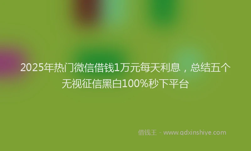 2025年热门微信借钱1万元每天利息，总结五个无视征信黑白100%秒下平台