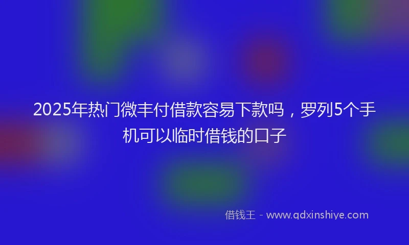 2025年热门微丰付借款容易下款吗，罗列5个手机可以临时借钱的口子