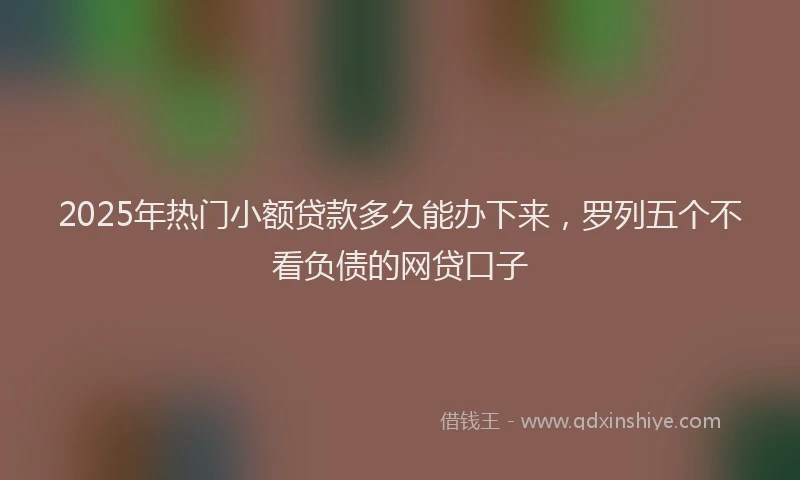 2025年热门小额贷款多久能办下来，罗列五个不看负债的网贷口子