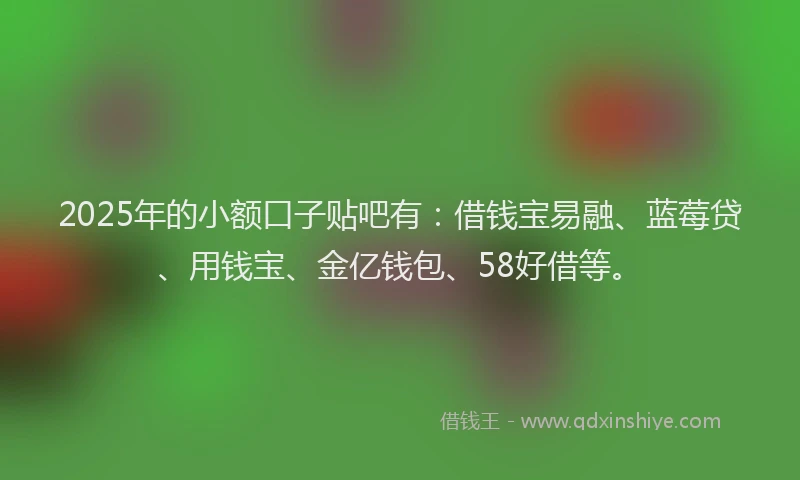 2025年的小额口子贴吧有：借钱宝易融、蓝莓贷、用钱宝、金亿钱包、58好借等。