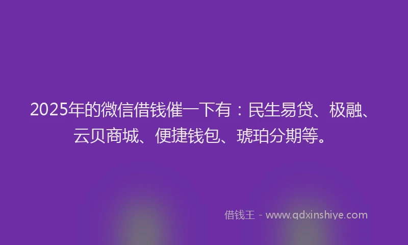2025年的微信借钱催一下有：民生易贷、极融、云贝商城、便捷钱包、琥珀分期等。