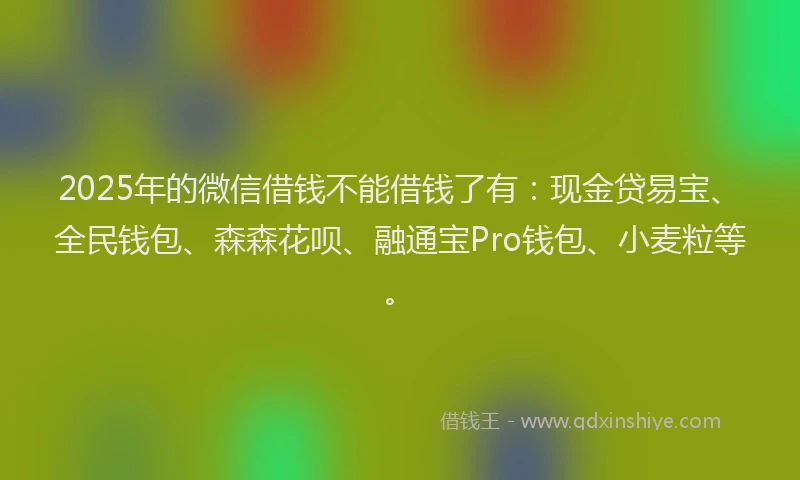 2025年的微信借钱不能借钱了有：现金贷易宝、全民钱包、森森花呗、融通宝Pro钱包、小麦粒等。
