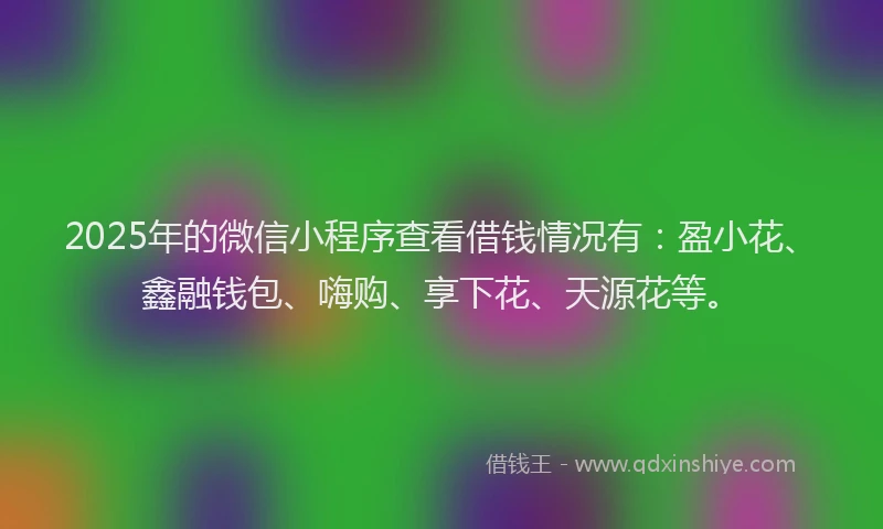 2025年的微信小程序查看借钱情况有：盈小花、鑫融钱包、嗨购、享下花、天源花等。
