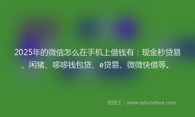 2025年的微信怎么在手机上借钱有：现金秒贷易、闲猪、哆哆钱包贷、e贷易、微微快借等。