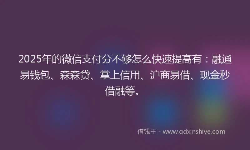 2025年的微信支付分不够怎么快速提高有：融通易钱包、森森贷、掌上信用、沪商易借、现金秒借融等。