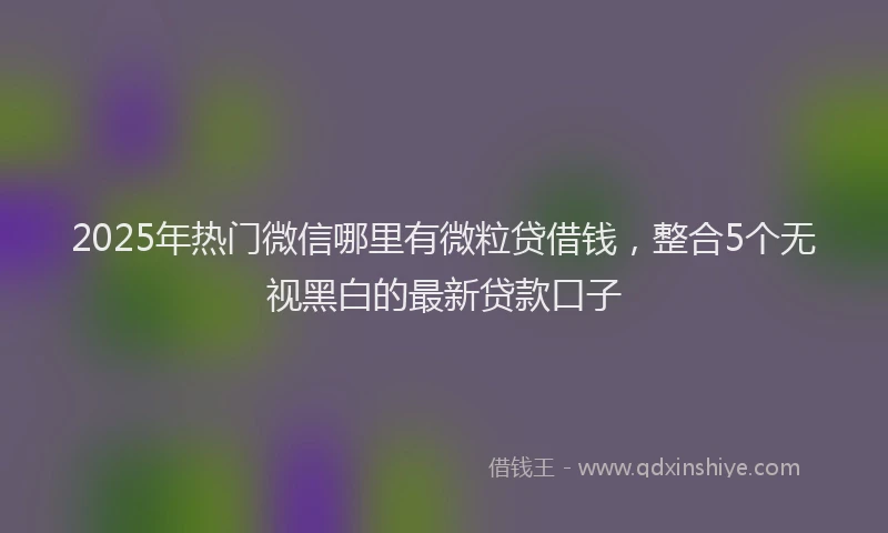 2025年热门微信哪里有微粒贷借钱，整合5个无视黑白的最新贷款口子