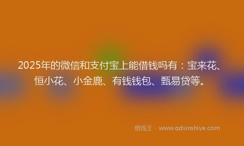 2025年的微信和支付宝上能借钱吗有：宝来花、恒小花、小金鹿、有钱钱包、甄易贷等。