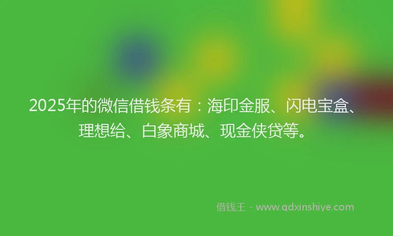 2025年的微信借钱条有：海印金服、闪电宝盒、理想给、白象商城、现金侠贷等。