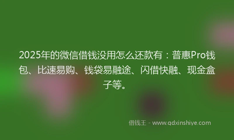 2025年的微信借钱没用怎么还款有：普惠Pro钱包、比速易购、钱袋易融途、闪借快融、现金盒子等。