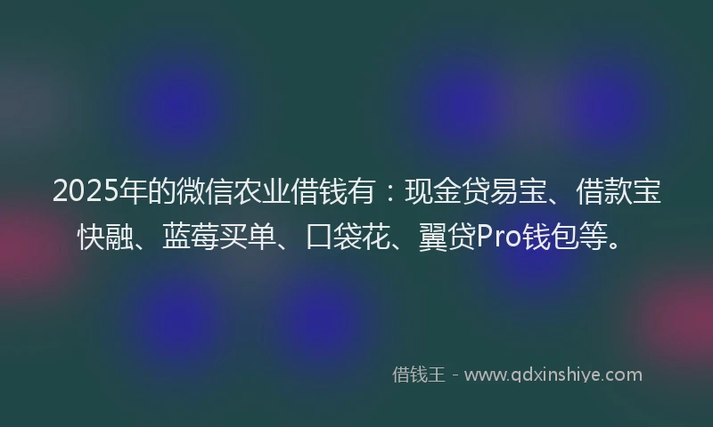 2025年的微信农业借钱有：现金贷易宝、借款宝快融、蓝莓买单、口袋花、翼贷Pro钱包等。