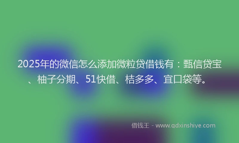 2025年的微信怎么添加微粒贷借钱有：甄信贷宝、柚子分期、51快借、桔多多、宜口袋等。