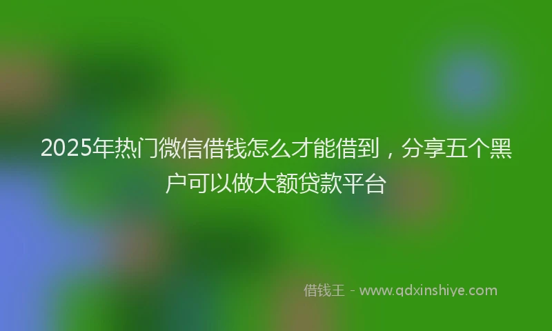 2025年热门微信借钱怎么才能借到，分享五个黑户可以做大额贷款平台