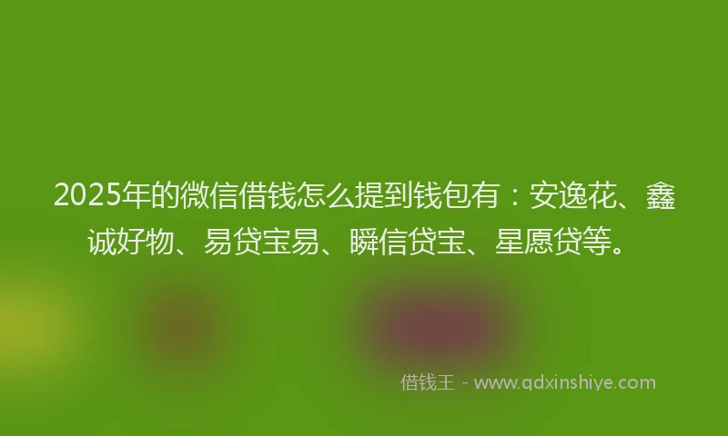 2025年的微信借钱怎么提到钱包有：安逸花、鑫诚好物、易贷宝易、瞬信贷宝、星愿贷等。